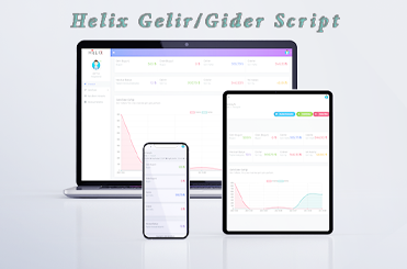 Gelir / Gider Mevduat Yönetim Scripti
